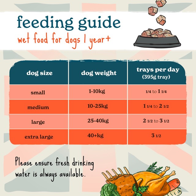 Forthglade wet dog food Lamb Shepherds Pie 395g - British product