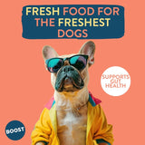 Boost Pet Meat Feast complete dog meal (British brand)