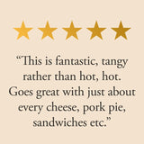 Tiptree hot gooseberry chutney 230g (British brand)