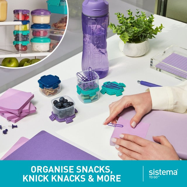 Sistema Knick Knack Pack mini snack containers 4-pack (British brand)