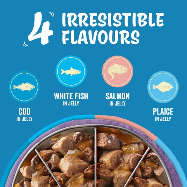 Felix senior cat food fish selection jelly 12x85g - British product