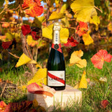 G.H. Mumm Cordon Rouge NV champagne 75cl - British product