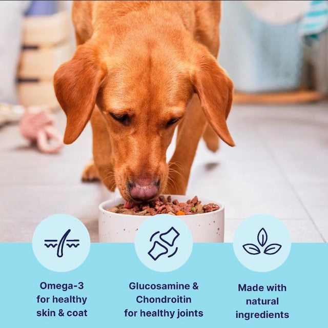 Tails mature dog wet food chicken 150g (British brand)