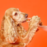 Marleybones joint supplement chew for dogs, imported from the UK