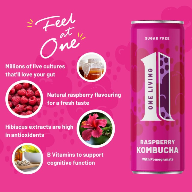 One Living Raspberry Kombucha Multipack 4 x 250ml, imported from the UK