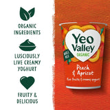 Yeo Valley peach and apricot yogurt 450g (British brand)