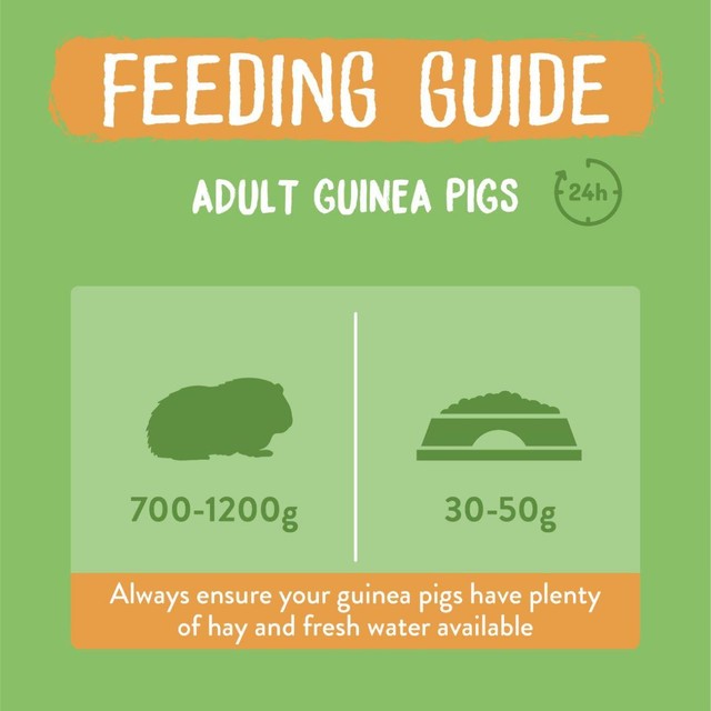 Burgess guinea pig food nuggets with mint, UK version