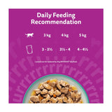 Whiskas wet cat food pouches Catch of the Day 12 x 85g (British brand)
