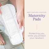 Lansinoh Discreet and Absorbent Maternity Pads 12 Pack, UK version