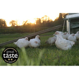 Packington free range medium whole chicken 1.75kg, imported from the UK