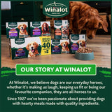 Winalot wet dog food meaty chunks in gravy for small dogs, UK version