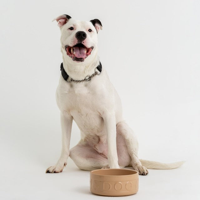 Mason Cash lettered dog bowl 18cm, imported from the UK