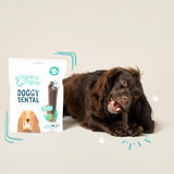 Edgard Cooper apple eucalyptus dog dental sticks - British product