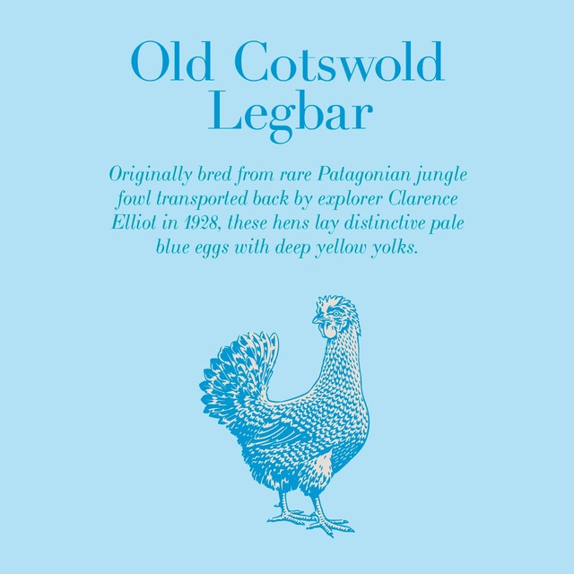 Clarence Court Cotswold Legbar free range eggs 6 pack - British product