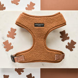 Cocopup Paddington Teddy dog harness medium - British product