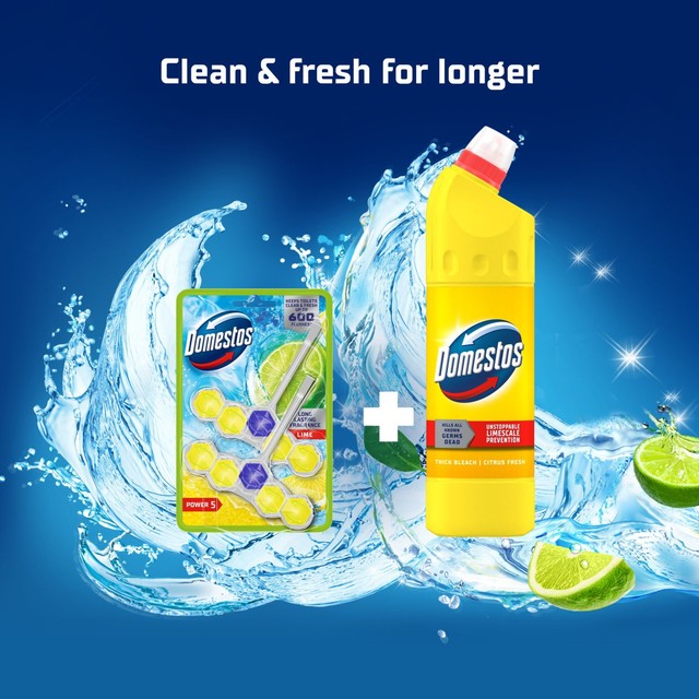 Domestos lime toilet rim block duo pack - British product