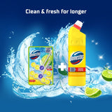 Domestos lime toilet rim block duo pack - British product