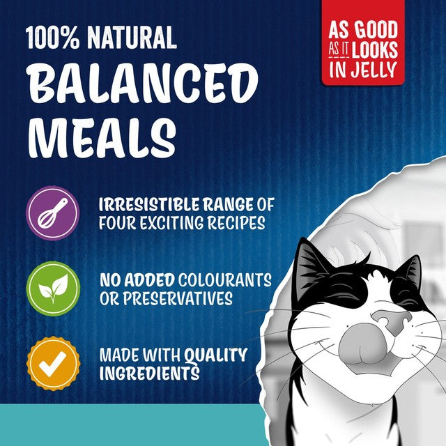 Felix cat food Ocean Feasts 12x85g - British product