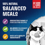 Felix cat food Ocean Feasts 12x85g - British product