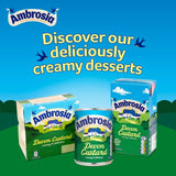 Ambrosia Devon custard 1kg - British product