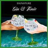 Tanqueray London Dry gin 1L (British brand)