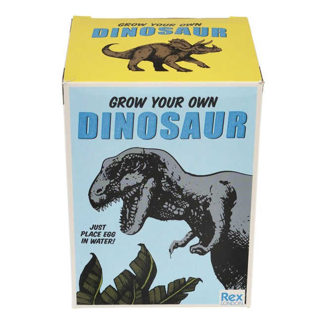 Rex London giant hatching dinosaur egg toy, imported from the UK