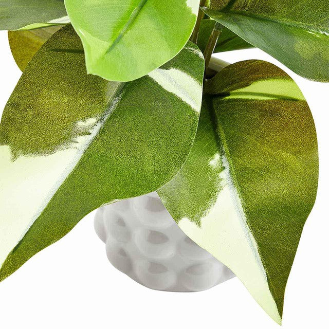 M&S moss & sweetpea artificial philodendron plant, imported from the UK