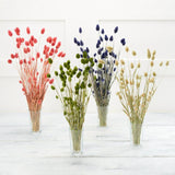 Sainsburys Dried Flowers Phalaris Bouquet