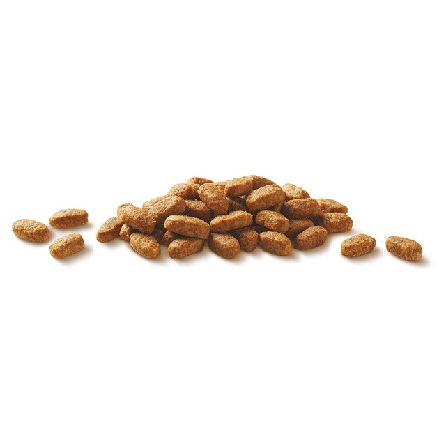 Purina One chicken dry cat food 800g, imported from the UK