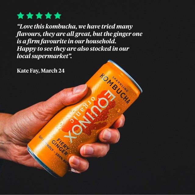 Equinox organic fiery ginger kombucha multi-pack, UK version