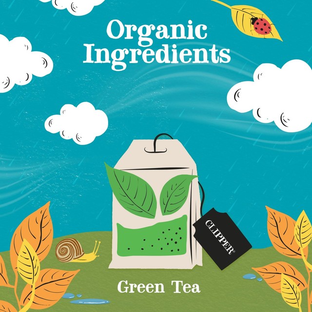 Clipper organic fairtrade green tea bags 20 count - British product