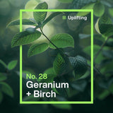 INEOS Non Bio Laundry Liquid Geranium + Birch 3L, UK version