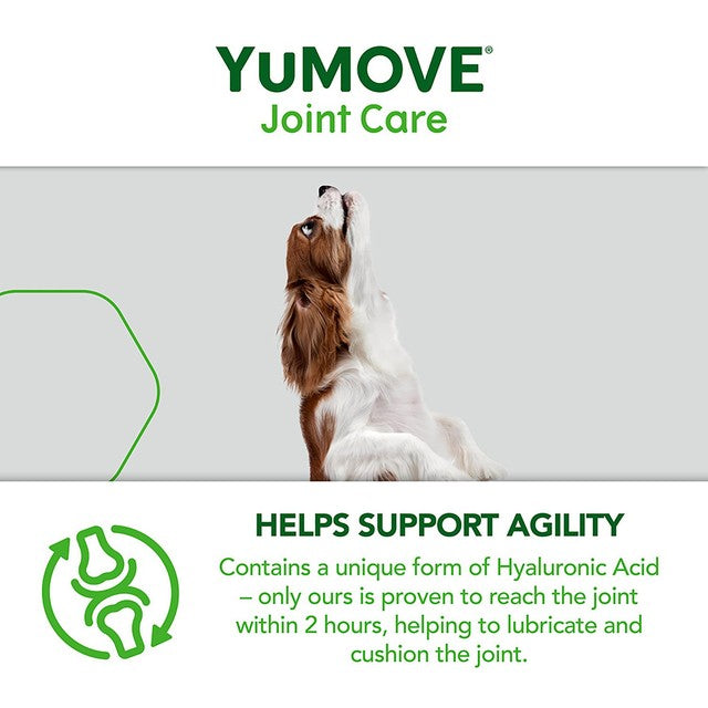 Lintbells YuMOVE Young & Active Dog Joint Supplement (British brand)