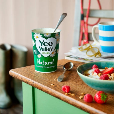 Yeo Valley Økologisk Naturell Yoghurt 450g