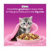 Whiskas kitten chicken dry cat food 800g (British brand)