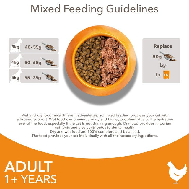 Iams dry cat food with fresh chicken 800g, UK version