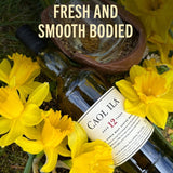 Caol Ila 12 Year Old Islay Single Malt Scotch Whisky 70cl - British product