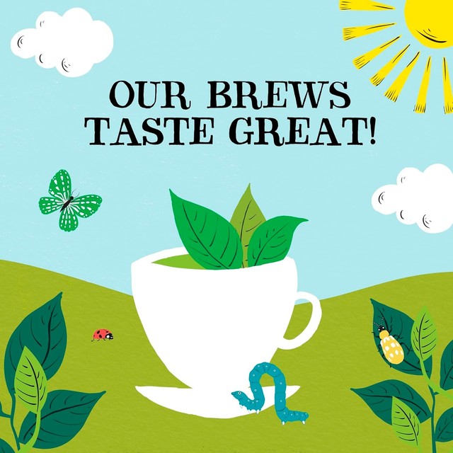 Clipper Pure Green Tea Bags 80 Count - British product