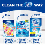 Bloo Power Active Fruitopia toilet rim block (British brand)