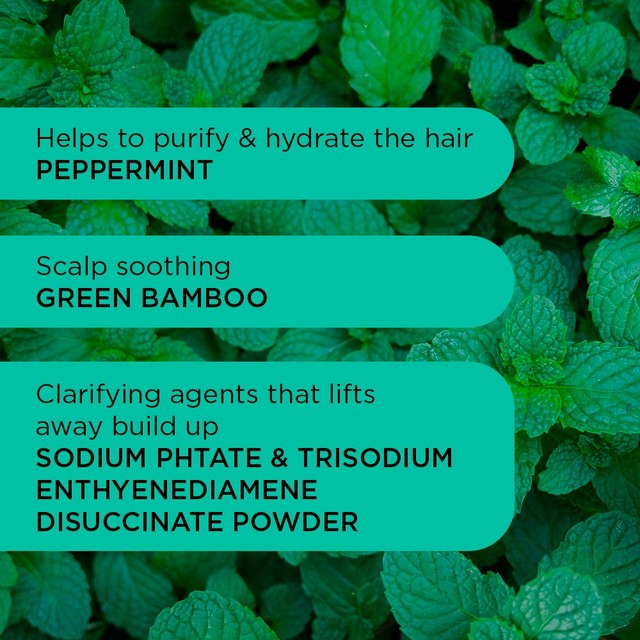 Noughty Detox Dynamo Shampoo 250ml, imported from the UK
