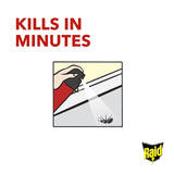 Raid insect killer spray 300ml, imported from the UK
