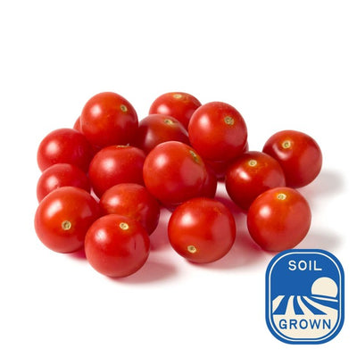 Natoora Sizilianische Kirschtomaten am Strauch gereift 200g