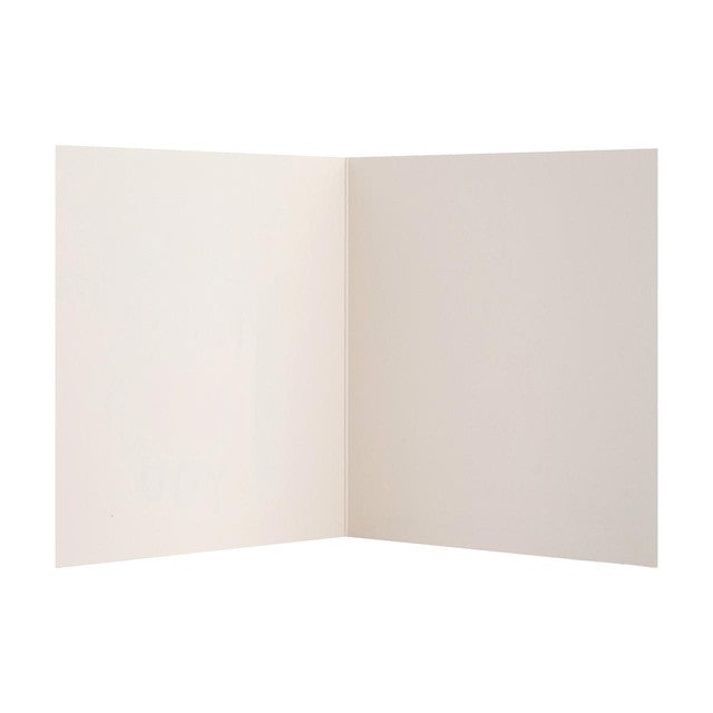 M&S Apple Thank You Teacher Cards pack of 6, UK version