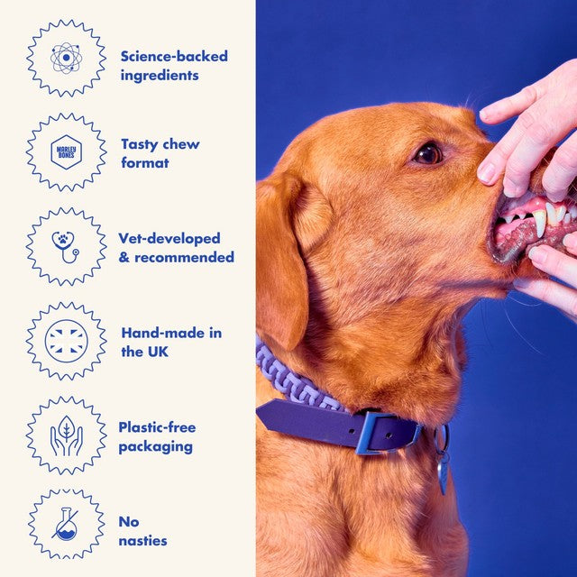 Marleybones dental supplement chew for dogs, imported from the UK