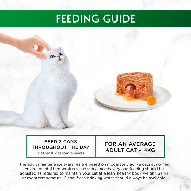 Gourmet wet cat food chicken ocean fish 8x85g, UK version