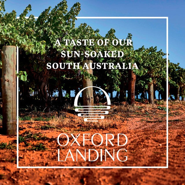 Oxford Landing Shiraz wine bottle 75cl, imported from the UK