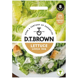 Mr Fothergills Seeds D.T. Brown Lettuce Little Gem seeds 1000 count, imported from the UK