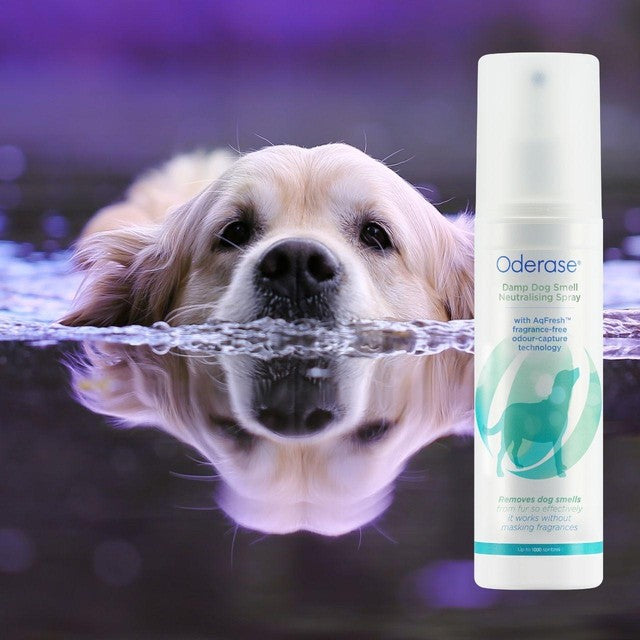 Oderase damp dog smell neutralising spray 200ml, imported from the UK