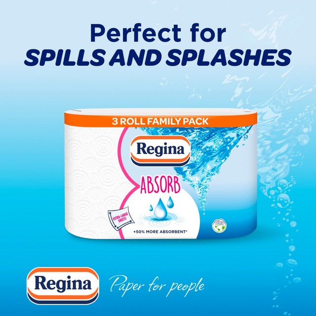 Regina Absorb kitchen roll 3 roll pack, imported from the UK