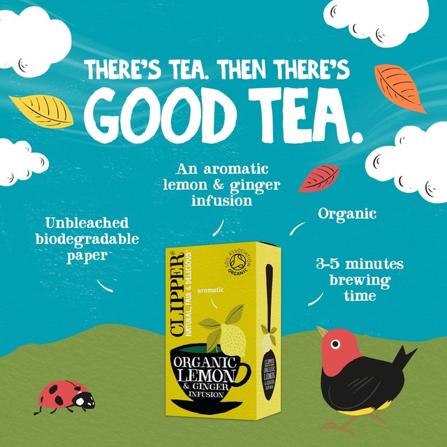 Clipper lemon and ginger herbal tea infusion 20 count - British product